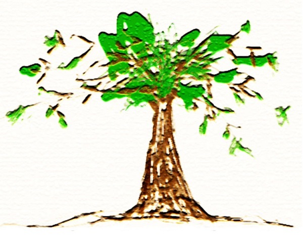 Daniel Parent, massothérapeute