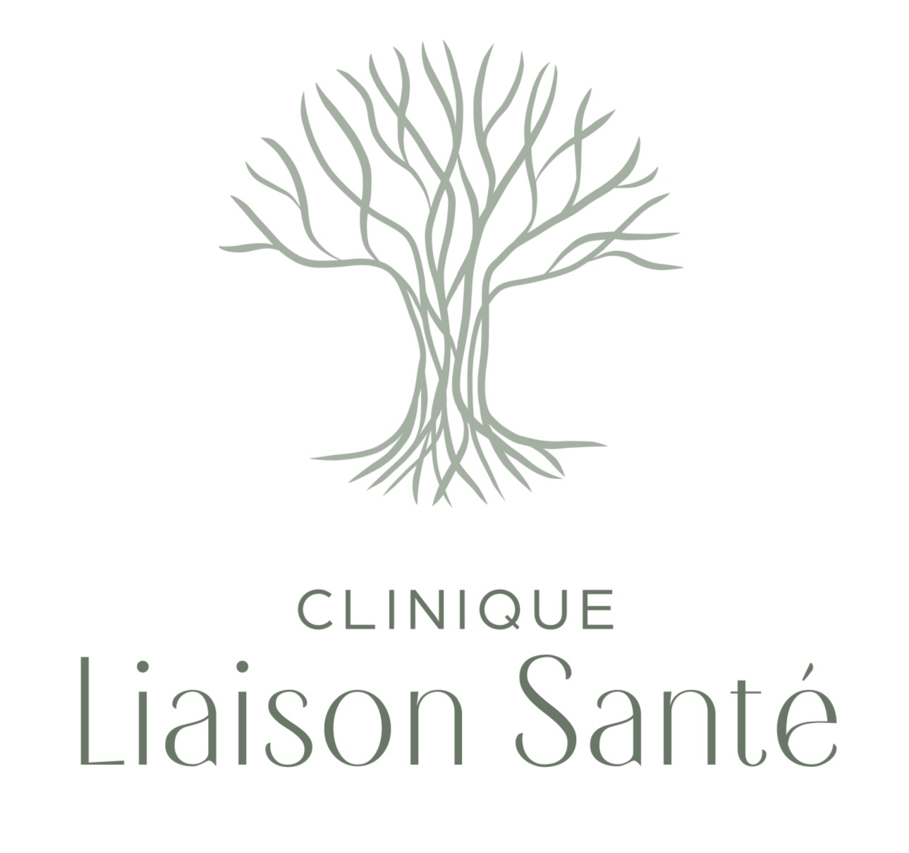 Clinique Liaison Santé