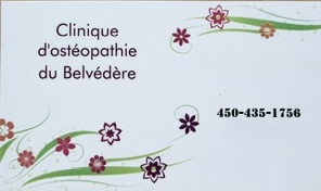 Diane Veilleux