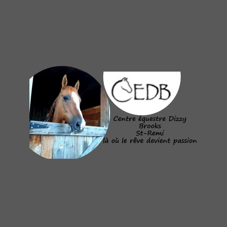 Centre équestre Dizzy Brooks